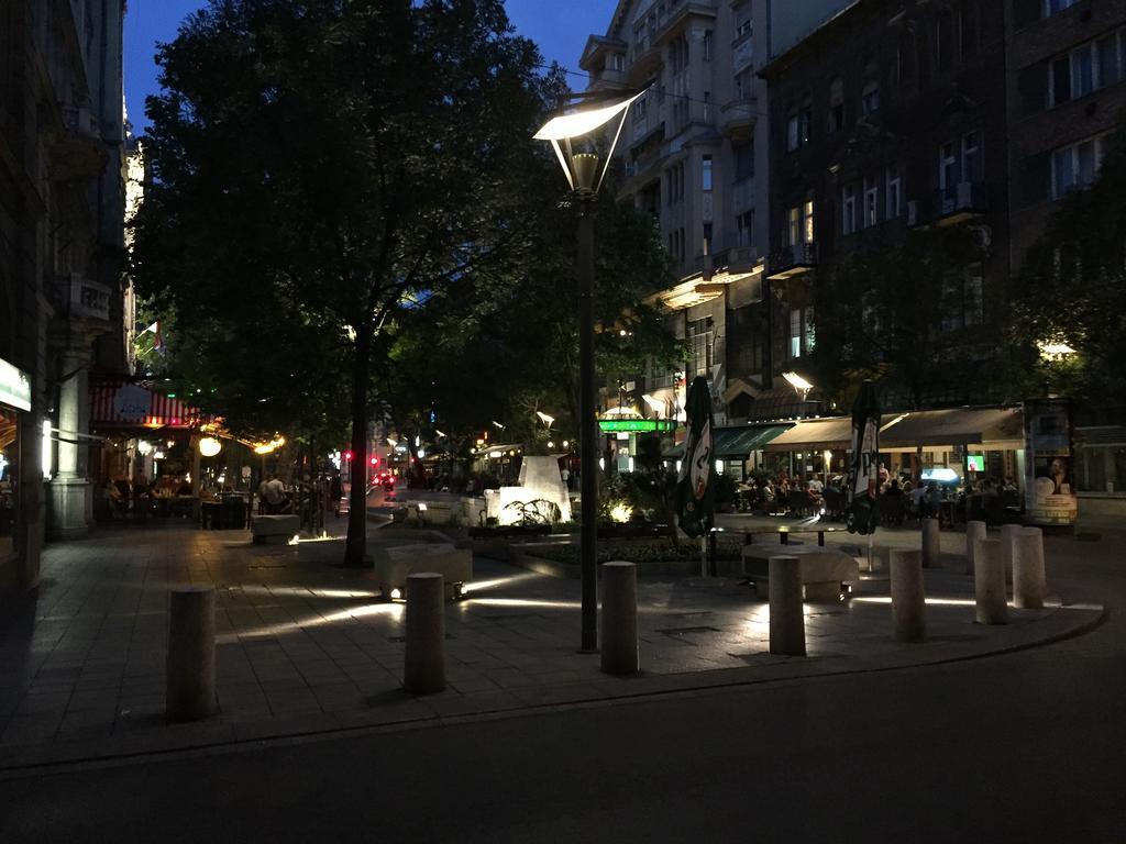 Apartment Near Opera In Downtown Budapest Exterior foto